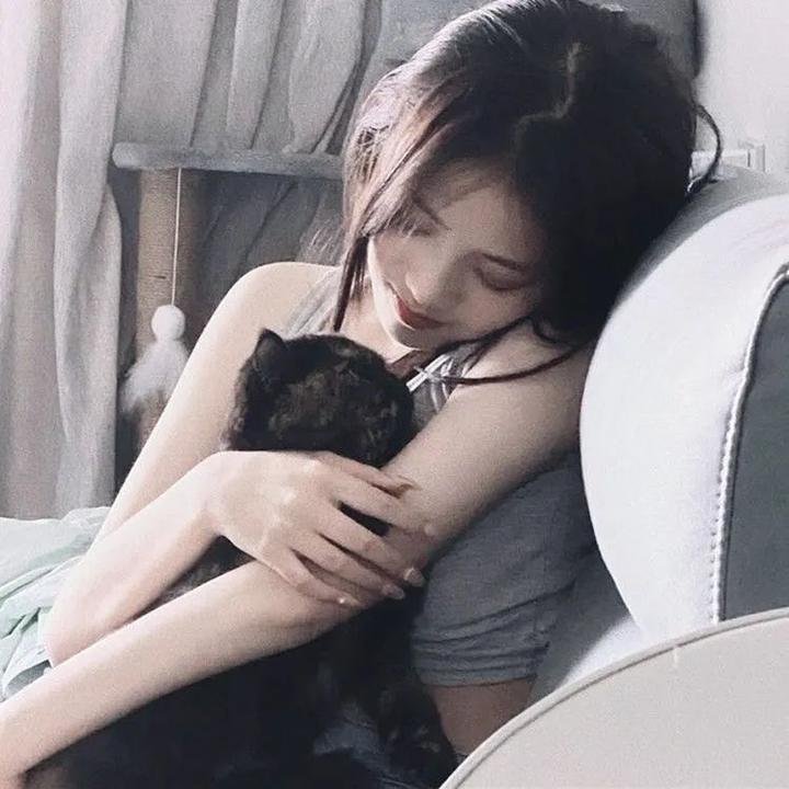 一条安达鲁狗