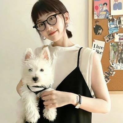 绿绮琴挑