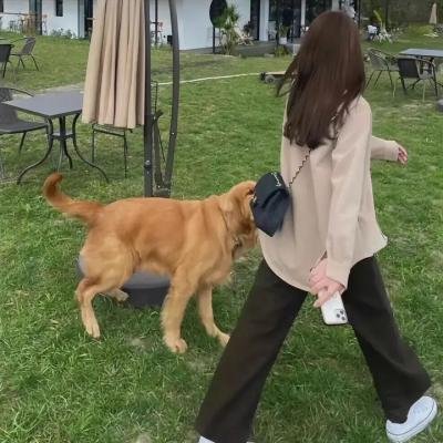 温馨赤子情